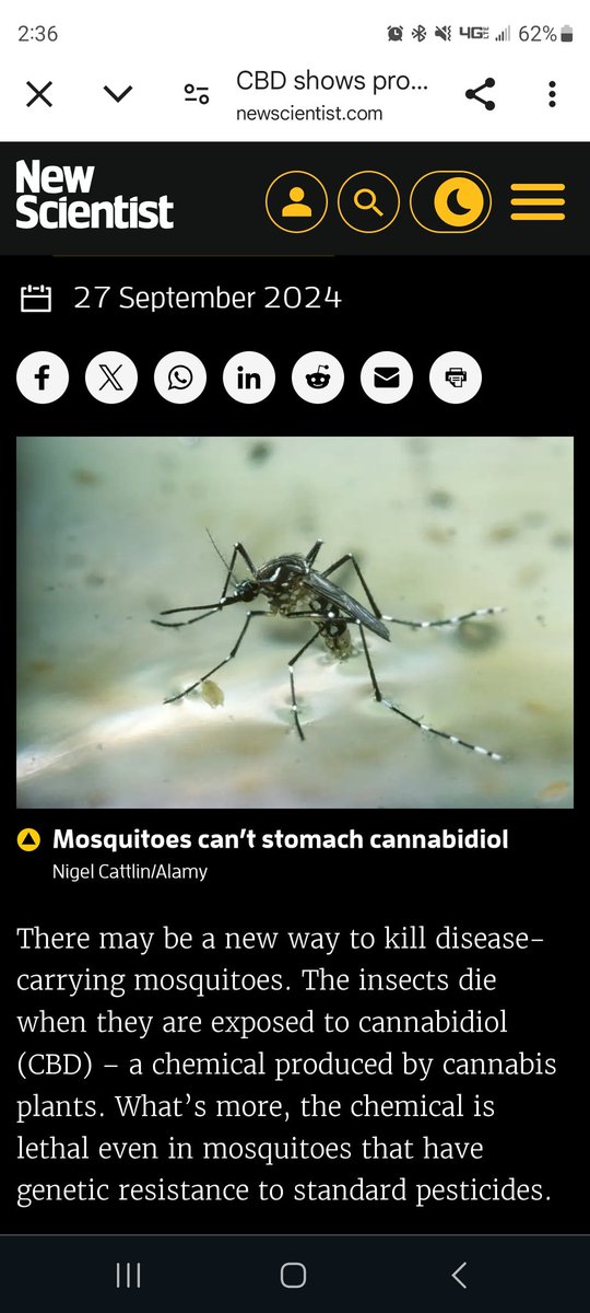 clair_voy_ant's tweet photo. Interesting article! 
Keep your outdoor activities calm and Mosquito free with CBD! Lol

https://t.co/PN6Xdb4xLd https://t.co/lKlzm8FJXP
