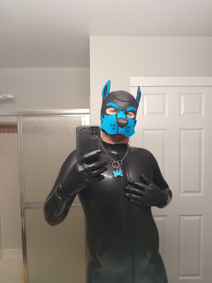 Pup Riley tweet media