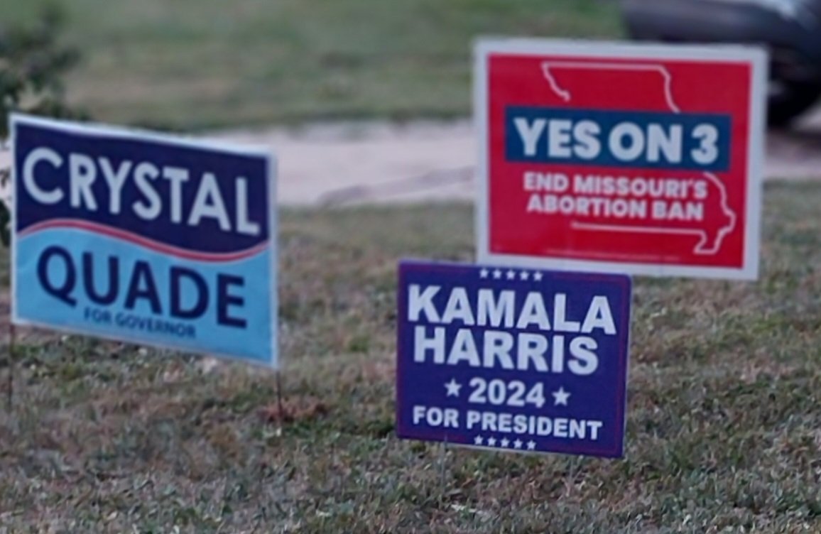 I'm voting #YesOn3 in Missouri because if one of my daughters is lying in an ER bleeding out, I'M NOT CALLING JOSH FUCKING HAWLEY, ERIC FUCKING SCHMITT or ANDREW FUCKING BAILEY for permission to save their lives. Full fucking stop.