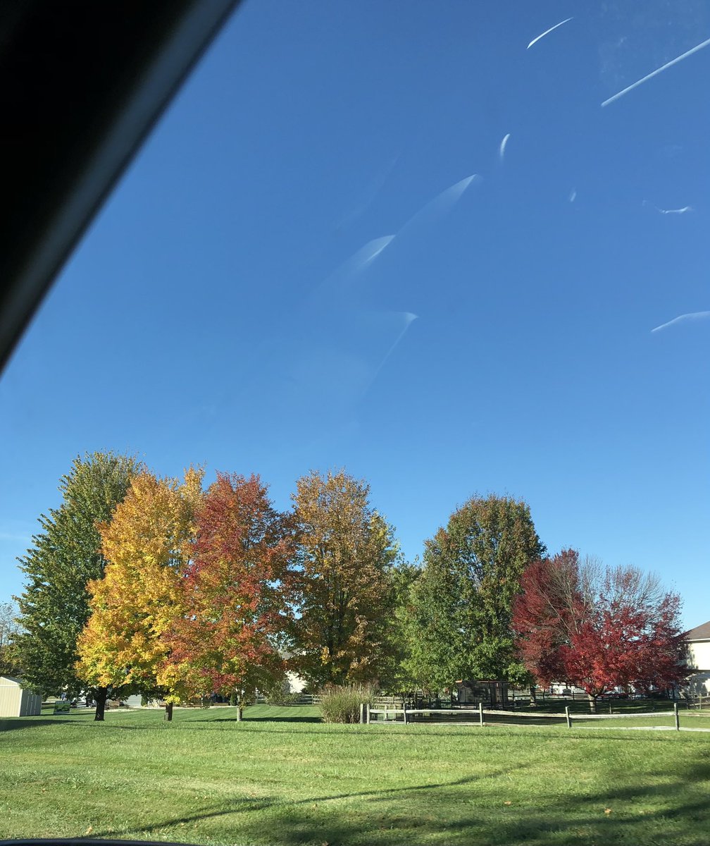 ctrymaus's tweet photo. Autumn Colours, October 24, 2024 #swohio #cincywx #autumn #fall https://t.co/FCMWJ54pHL