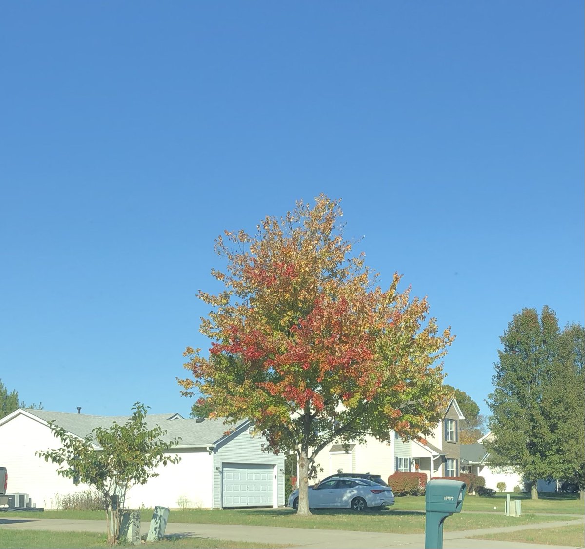 ctrymaus's tweet photo. Autumn Colours, October 24, 2024 #swohio #cincywx #autumn #fall https://t.co/FCMWJ54pHL
