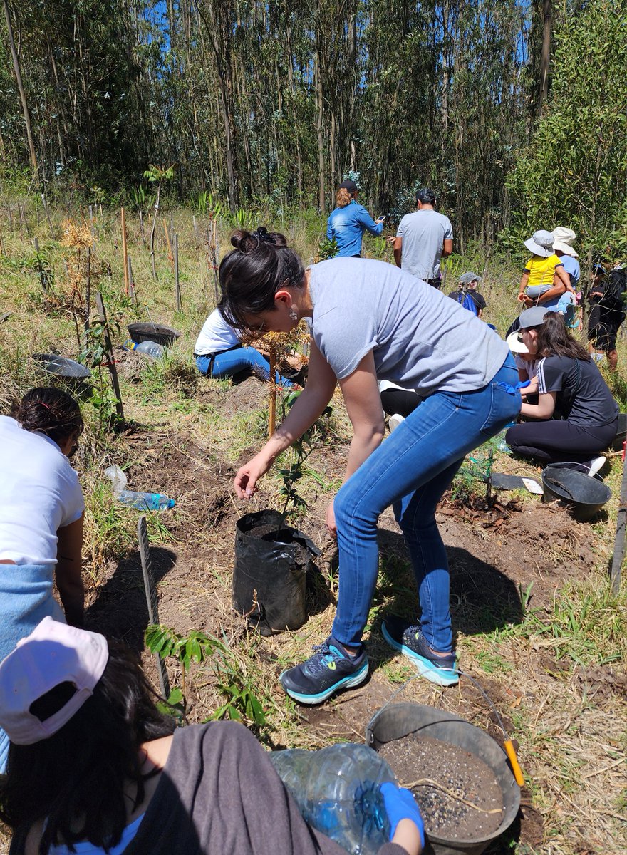 OEAenEcuador's tweet image. Fue un gusto para la @OEAenEcuador unirnos a esta iniciativa de la #MegeciEC, con manos en la tierra ayudamos a generar mayor conciencia y a recordar que la igualdad, el medio ambiente y la preservación son todas parte del mismo principio de unidad por el que trabajamos