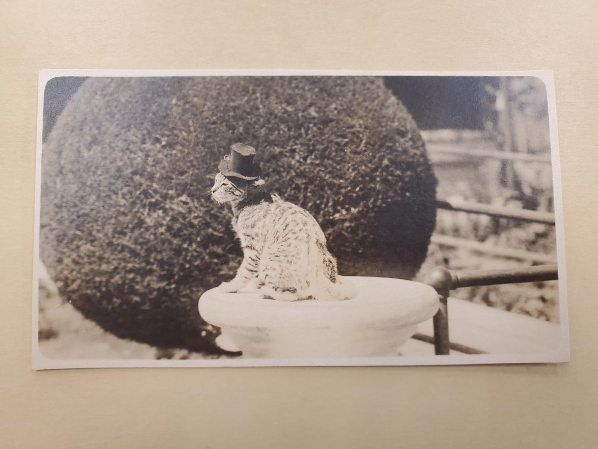 UC-ARB Library tweet media