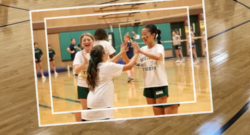 6th Graders Rally for Interscholastic Volleyball Tournament at Westridge dlvr.it/TFsDSn