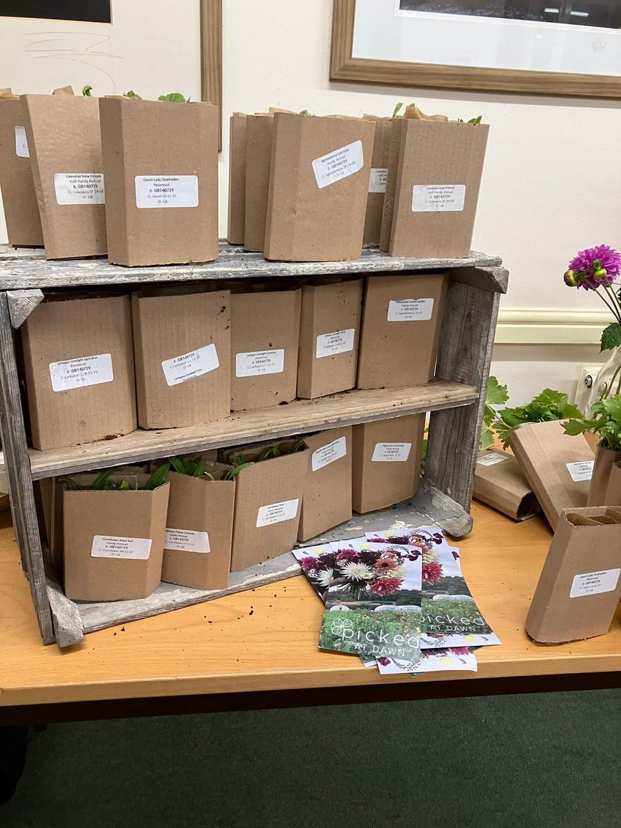 HelmsleyWi's tweet photo. Our Oct meeting &amp; 22 members enjoyed a talk by Suzie Rush from @pickedatdawn 
She told us how she combines her artistic skills with a love of horticulture. Members also had the opportunity to buy cut flower plug plants. https://t.co/o1Sn5g5dvH
