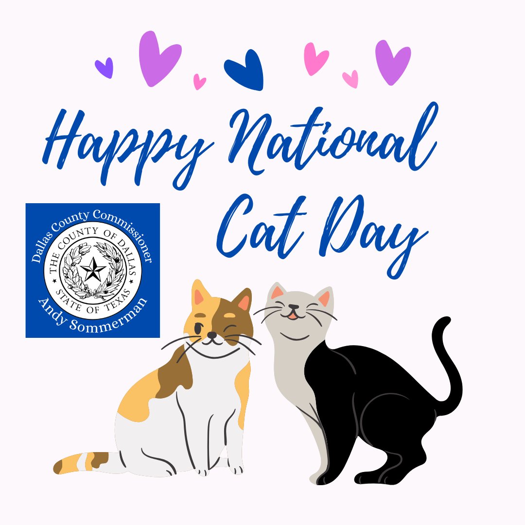 Andy Sommerman tweet media