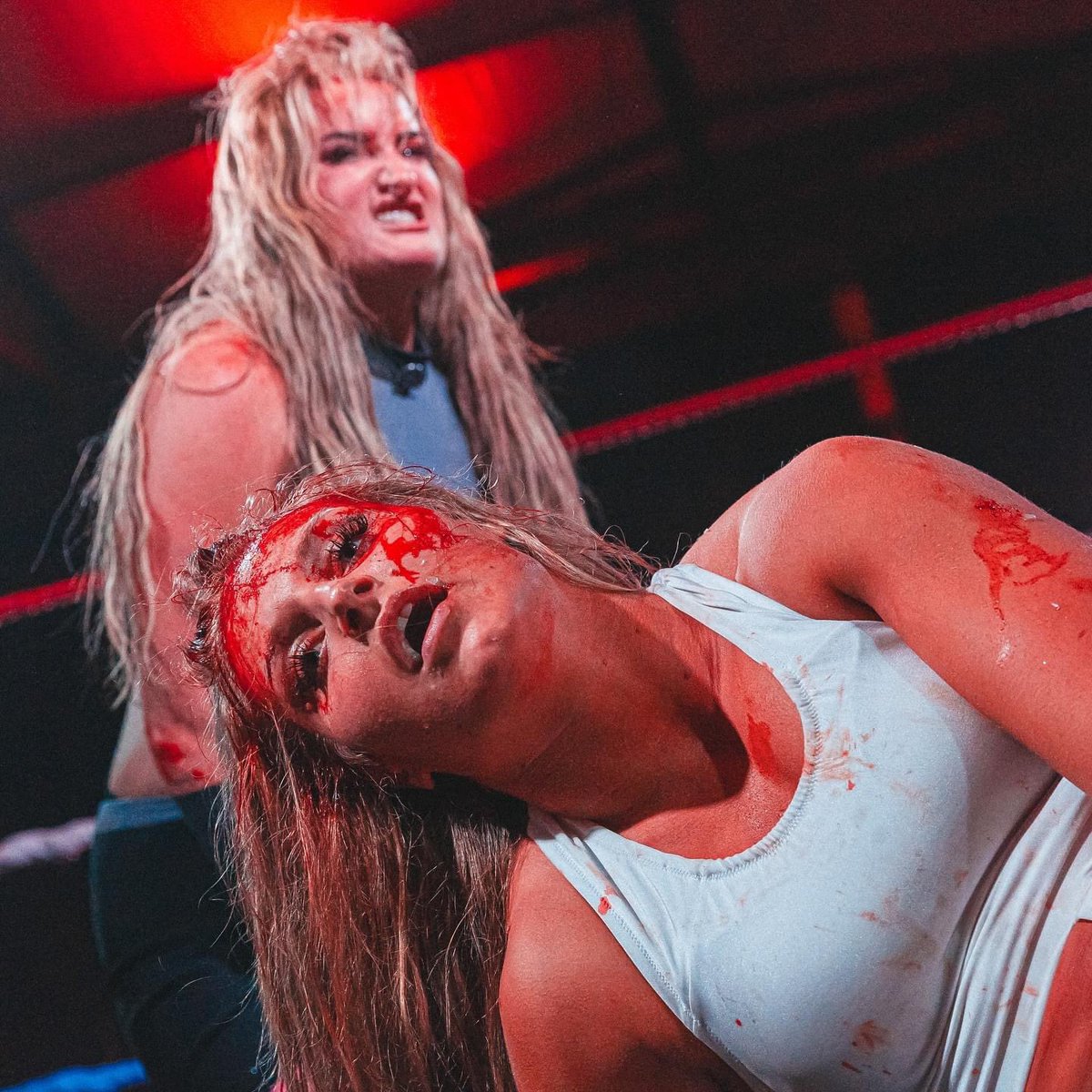 Millie Mckenzie tweet media