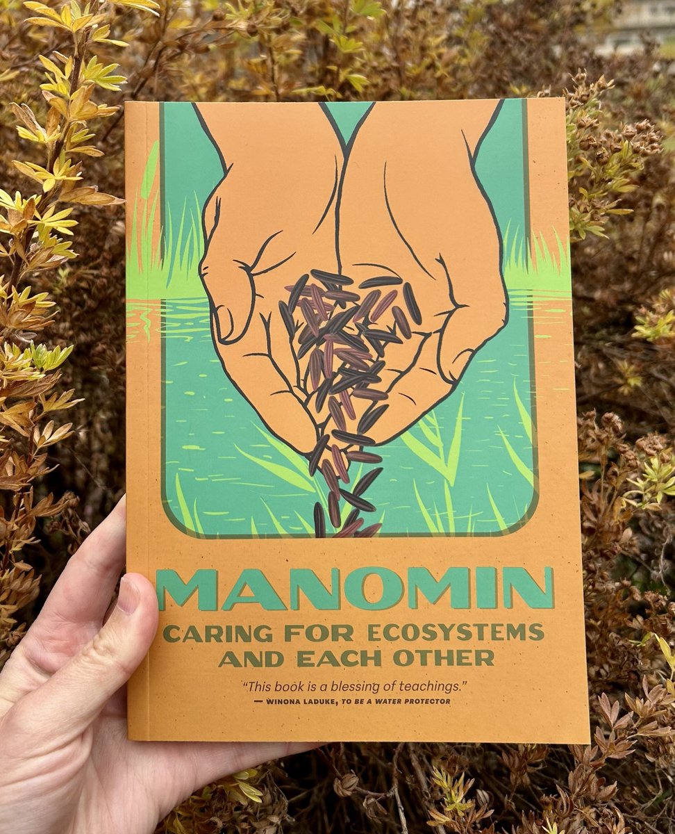 So excited to share that MANOMIN is out now! In this book, chefs, scientists, Elders, artists, harvesters, and historians come together to share Manomin's many lessons. As Winona LaDuke writes, "This book is a blessing of teachings."

uofmpress.ca/books/manomin