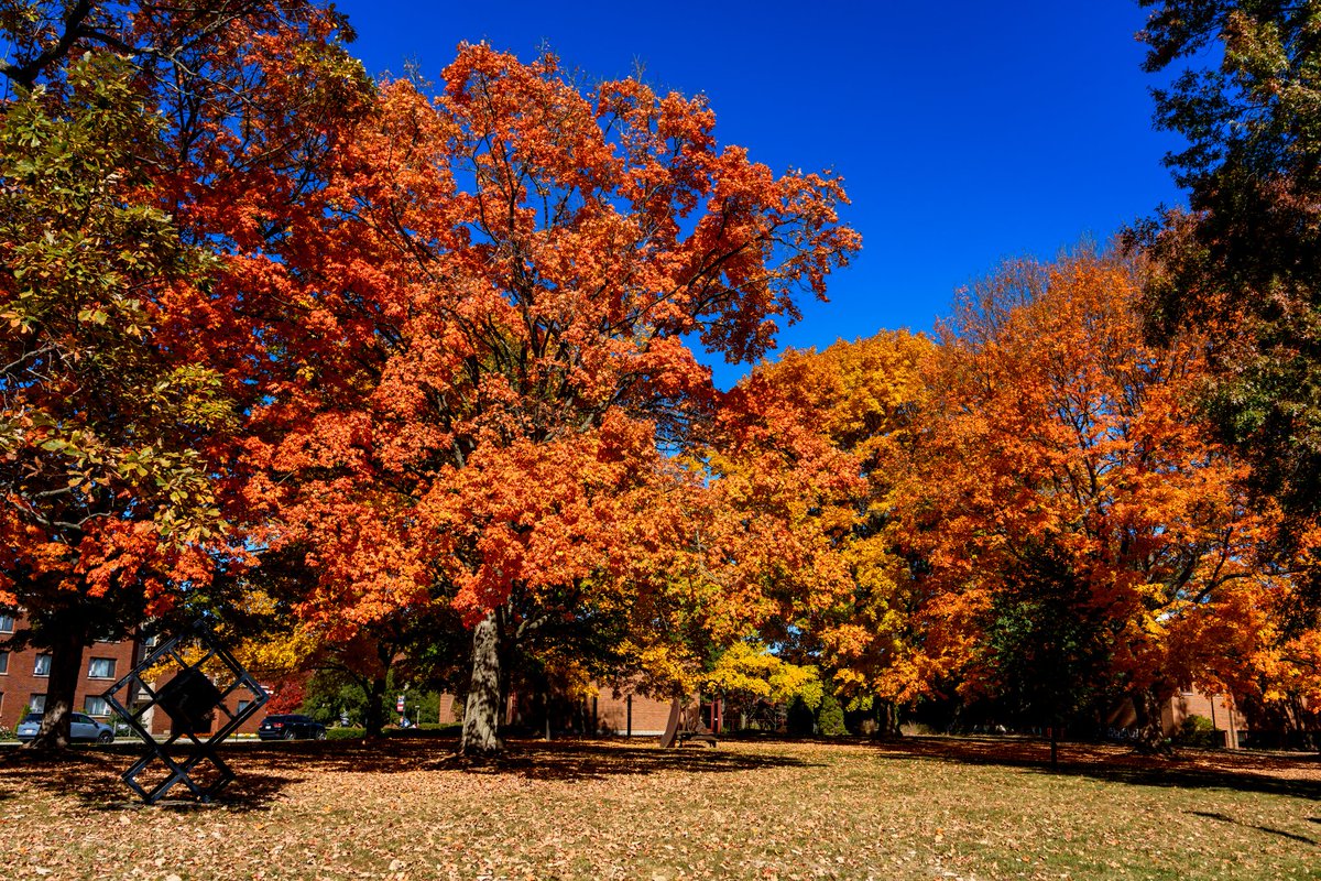 RoseHulman's tweet photo. The colors of the fall season are full abloom on campus . . . #rosehulman https://t.co/LEp2mH8C4O