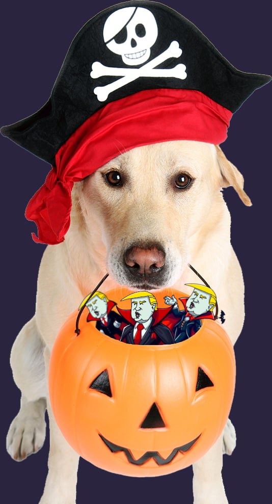trick_orTrump's tweet photo. Our Meme room is live !

https://t.co/QFTG6PnVsQ

#memes #tot #trick #Trump https://t.co/ZgrbQmC2uQ