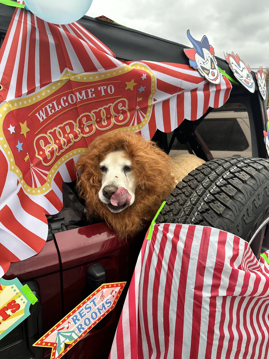 Ms Hunter tweet media