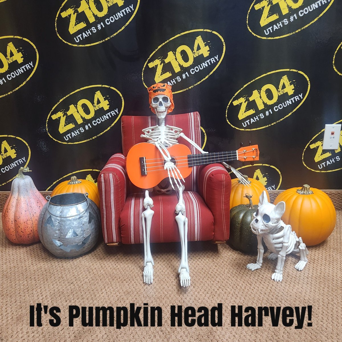 Z104Country's tweet photo. Oct 29 Frederick back at it trying out different instruments, this time a ukulele! I think Deb has him hooked on Pumpkin Harvey! #skeletoninthestation #frederick #z104country https://t.co/WC46yi8pFG