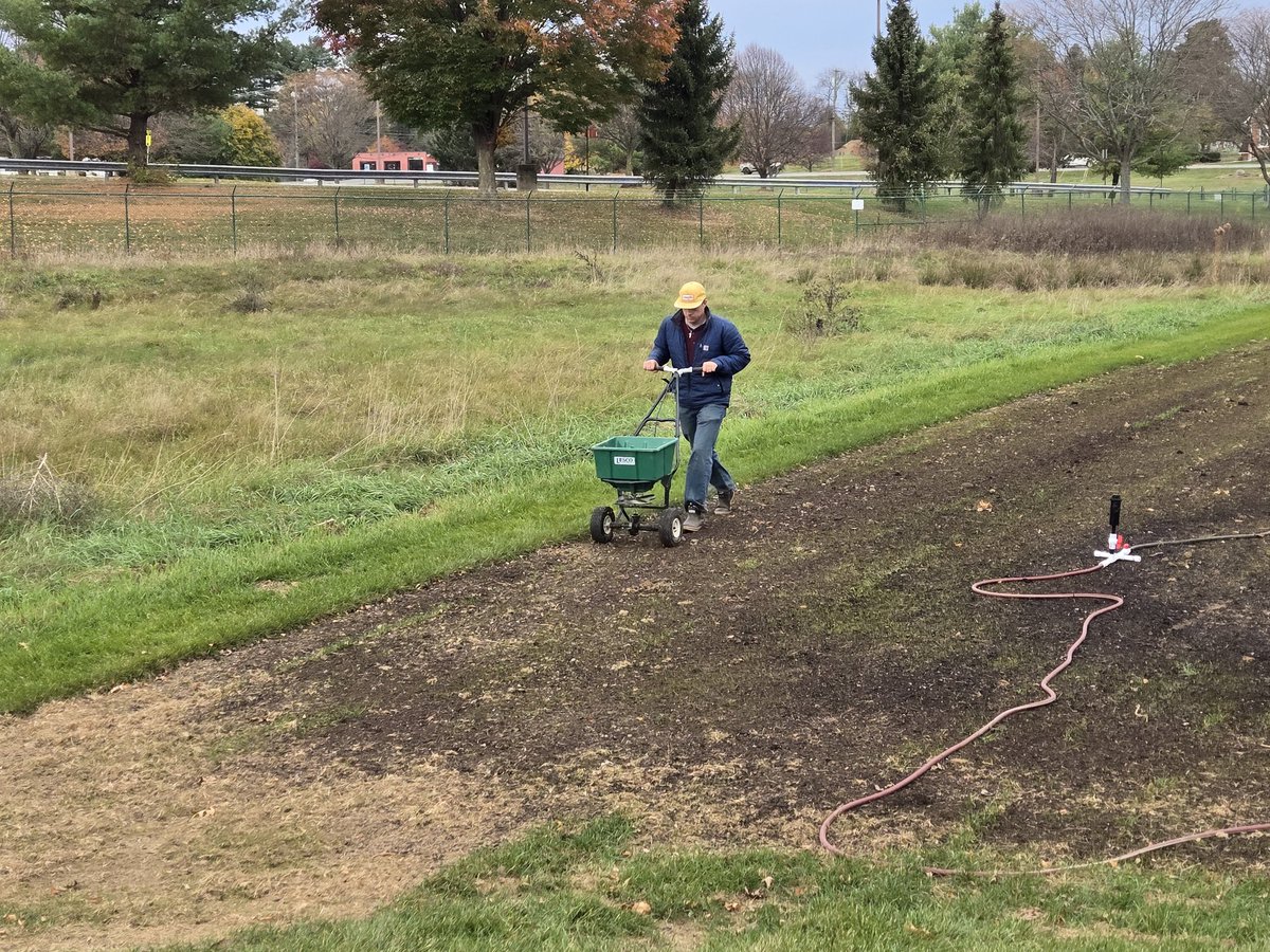 One week into re-establishing our sod nursery...they did a pretty decent job getting it prepped and seeded. Time to add some 10-20-20 and some water.
Well done, class!
#psuturf 
#psuirrigation 
#psuplantscience
