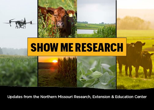 MU_NMREEC's tweet photo. Our monthly newsletter is just another way we share resources with our communities through the Land Grant Mission. 

🔦Spotlights
🚜Farm updates
🗓️Events
📢Special message from the director

Sign up to have your copy delivered the first of each month at https://t.co/T5mSLiYtHd https://t.co/vCvK5zB8ia