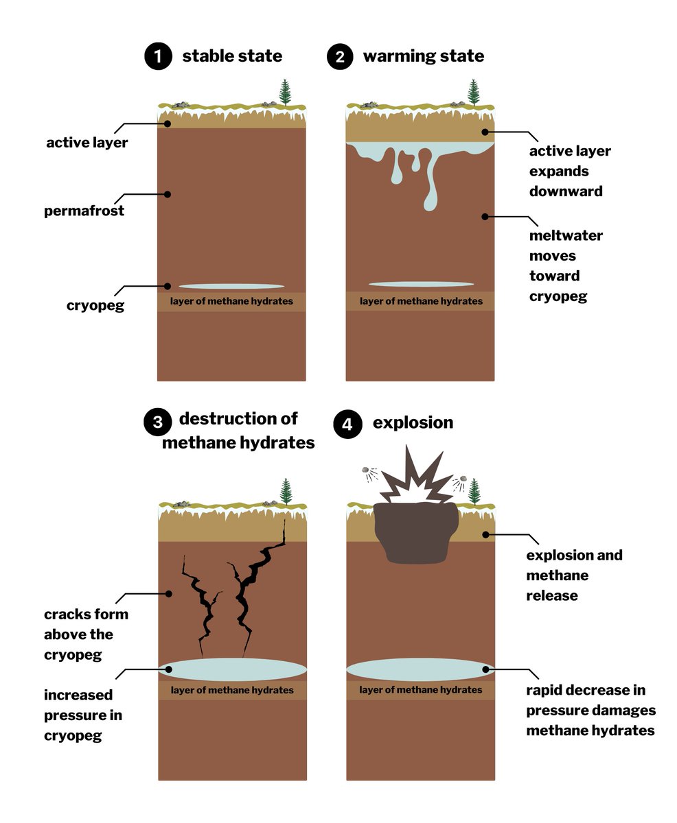 Revkin's tweet photo. Fine @jess_cockerill story on a fascinating hypothesis about the bizarre Siberian blast-style permafrost holes I wrote on long ago. Links appended shortly. 1/ https://t.co/T8TUKNK7hz