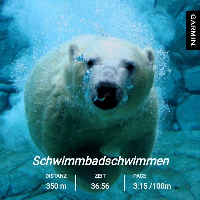 NorMandyhier's tweet photo. Heute mal so 🏊‍♂️ https://t.co/tcByY3Y7xb