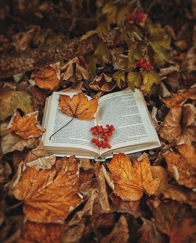 💕ريم _الجنوب💕 tweet media