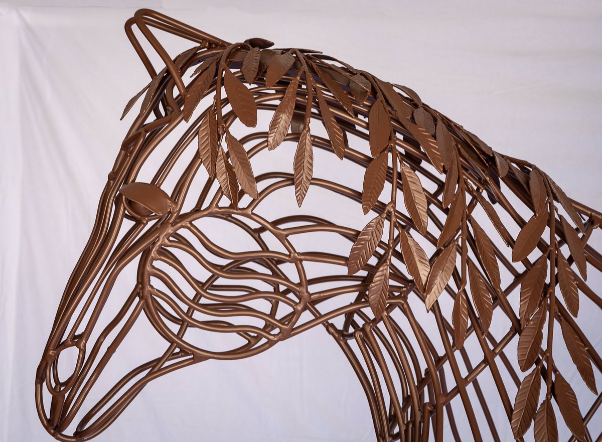 David Lucien tweet media