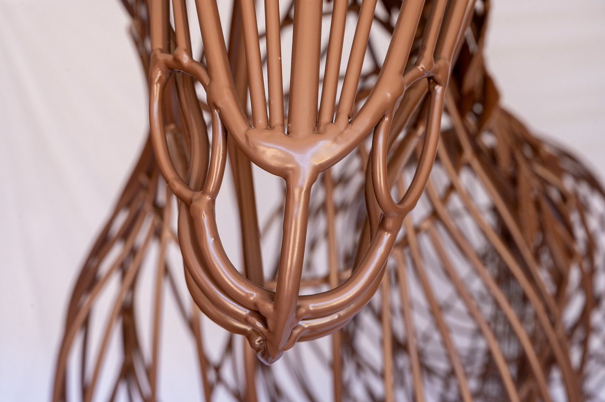 David Lucien tweet media