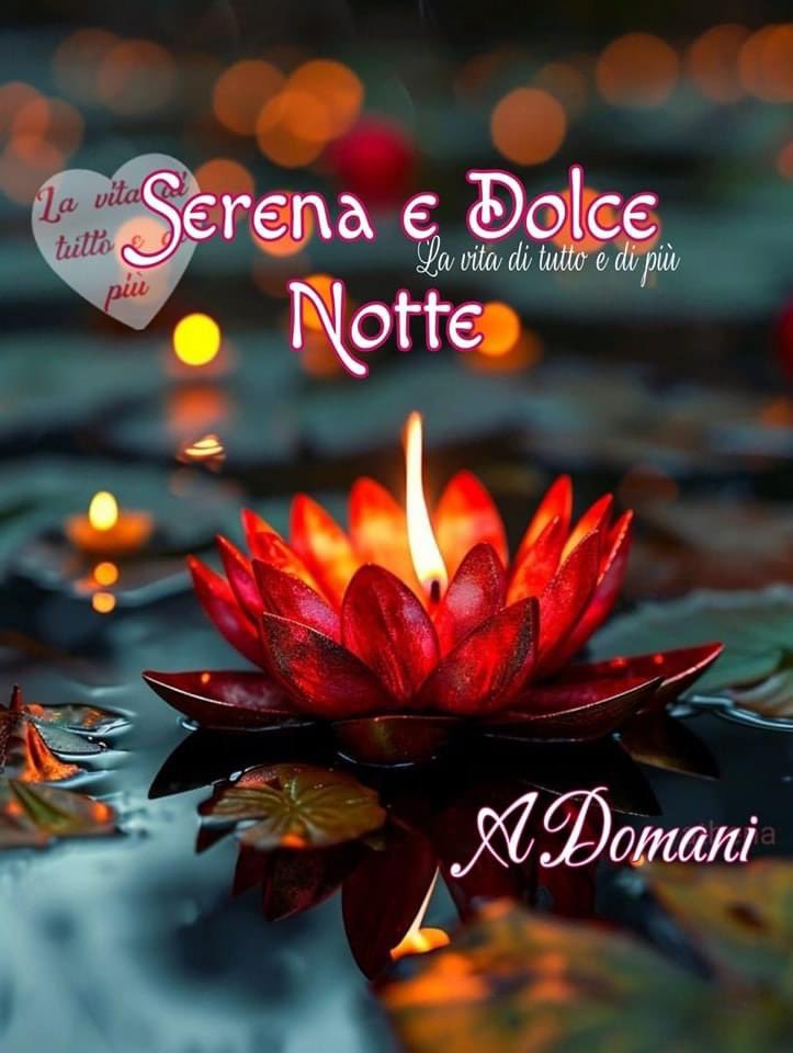 RITABIANCHi56 tweet media