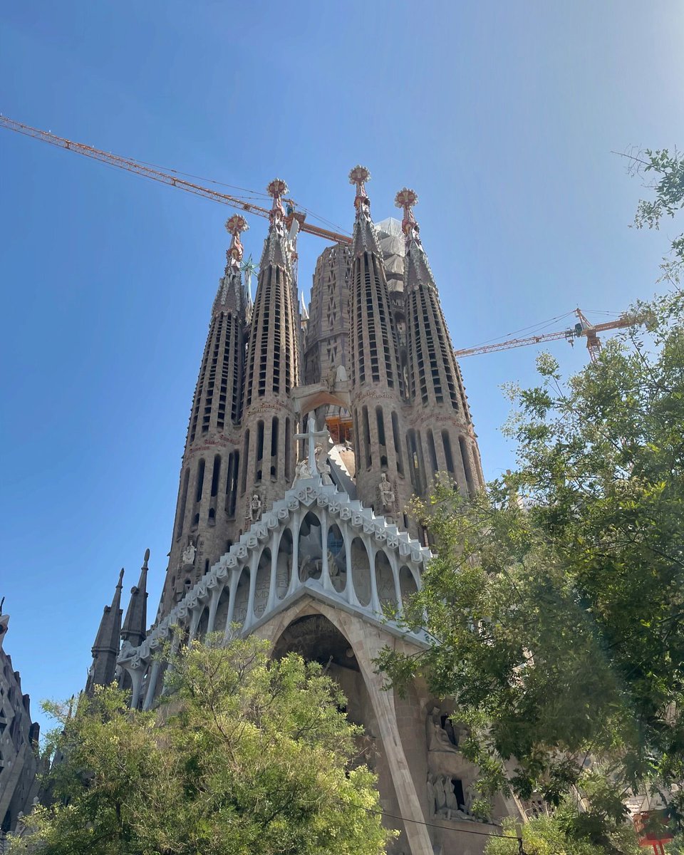 DINEvent tweet media