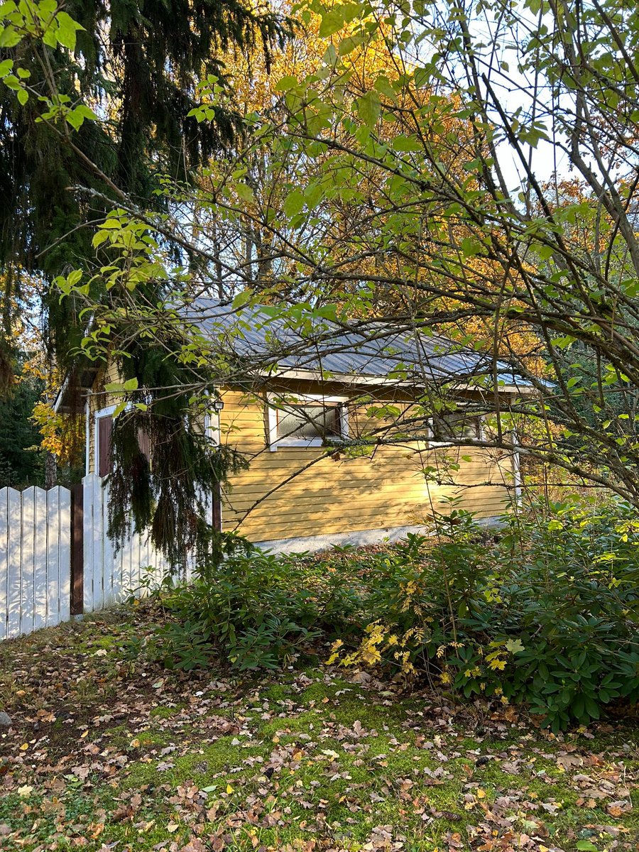 TuijaVirtanen's tweet photo. Siinä se nyt on. Villa Virtanen vol 2 a.k.a Käenpesä 😍
Vanha talo piharakennuksineen ja riittävän kokoinen talli (ehkä) 🤔Naapureina metsää. Hulluiksi sanovat ja niin tehdään usein itsekin 🫣😂
Tää vaan tuntuu omalta. Myydään pois sitten kun ei enää jaksa. 
#bootcamp247 https://t.co/ZEpDPJTrEn