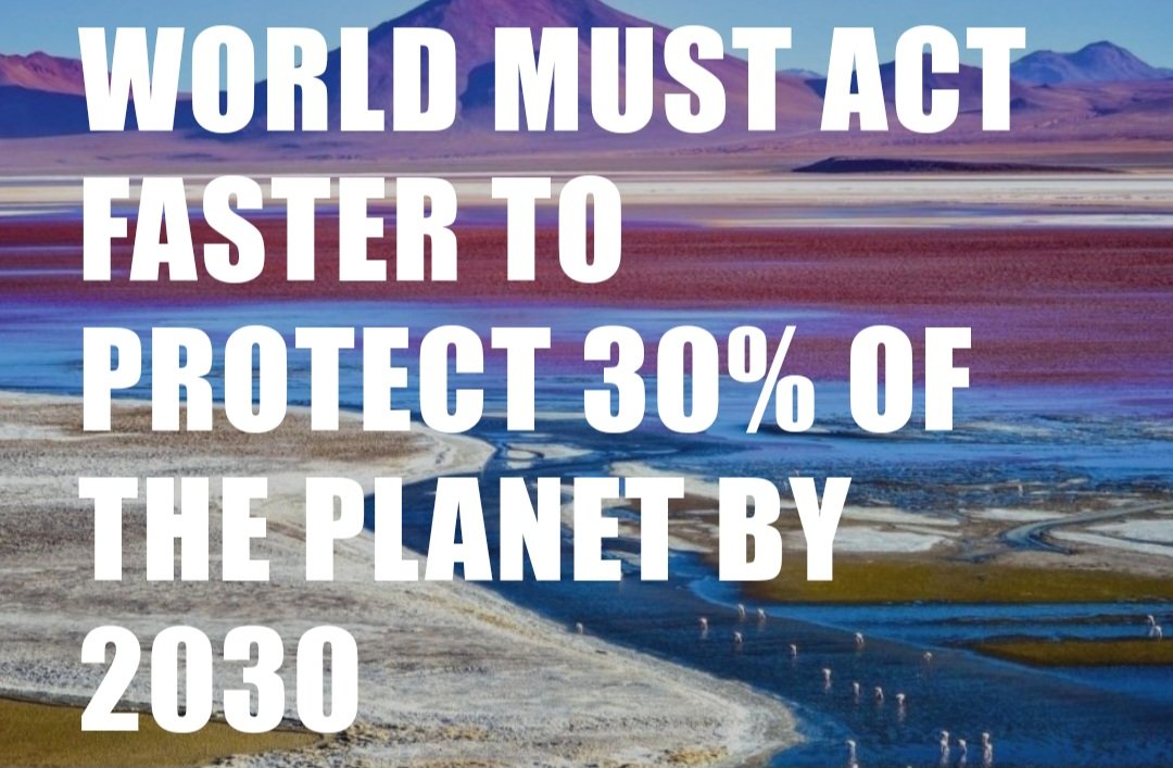 How far have we come in protecting 30% of the planet before 2030? Our new report explains 👇 #COP16
digitalreport.protectedplanet.net/?origin=serp_a…