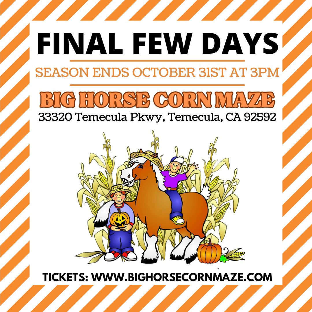 🌽✨ FINAL DAYS ALERT!   🎉 The Big Horse Corn Maze is closing for the season on October 31st at 3 PM! 🗓️💛 Join us Mon-Wed from 1 to 4 pm, and Thu 1 to 3pm.
Tickets:  ow.ly/mfps50TK6BC 
33320 Temecula Pkwy, Temecula, CA 92592
🍁 #CornMazeAdventures  #FallFun