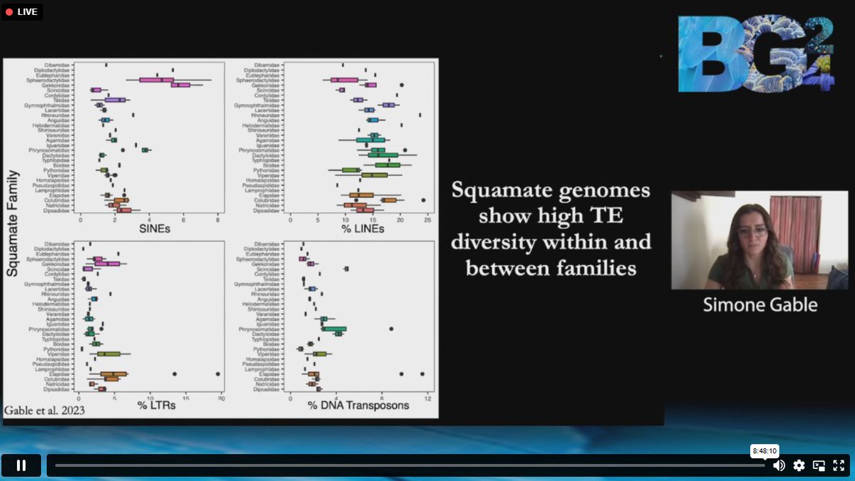 Earth BioGenome Project (@ebpgenome) on Twitter photo LIVE from #BG24 : <a href="/SimoneGable/">Dr. Simone Gable</a> is describing how transposable element expansions drive genome size evolution in squamate reptiles.
#genomics #genome #biodiversity #squammates #reptiles #reptile #evolution LIVE from #BG24 : <a href="/SimoneGable/">Dr. Simone Gable</a> is describing how transposable element expansions drive genome size evolution in squamate reptiles.
#genomics #genome #biodiversity #squammates #reptiles #reptile #evolution