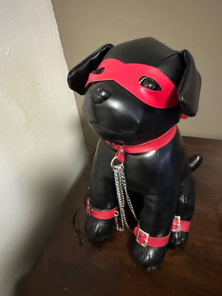From the bestie @PupBoreas 😍🥰 my bondage dog still needs a name tho, suggestions?