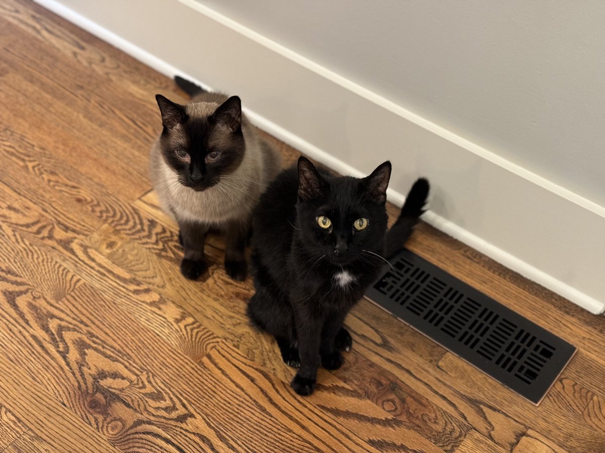 zenworm (not parody) 🎃 tweet media