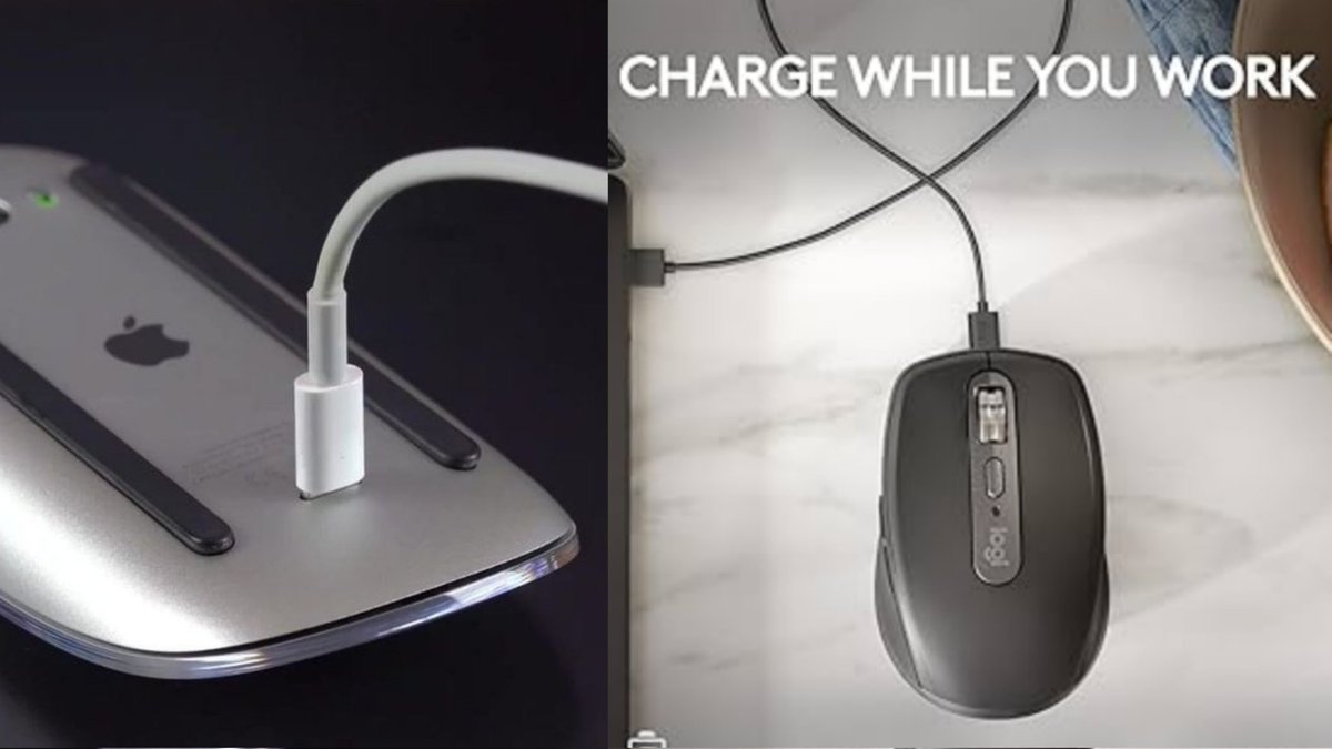 Jamal Lee tweet media