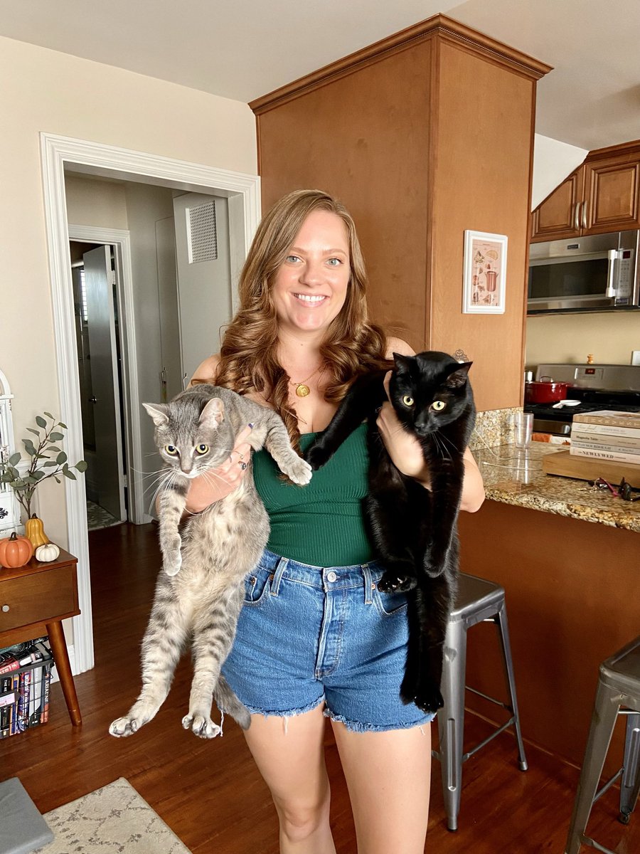 GoonerSwiftie's tweet photo. @taylornation13 Three cats is a cat lady, two cats is a party! #NationalCatDay @taylornation13 https://t.co/qdTvoWBGvj