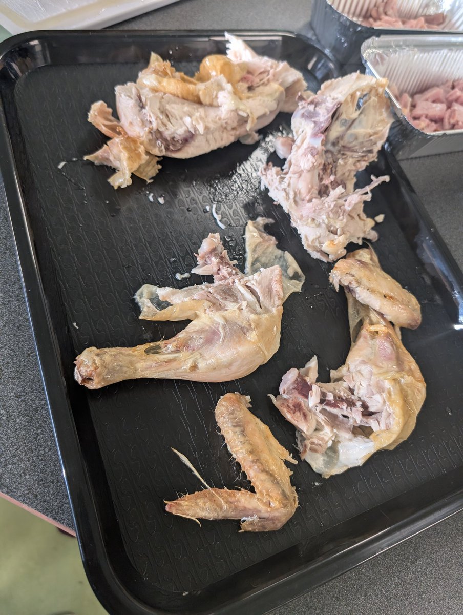 Miss Turnbull tweet media