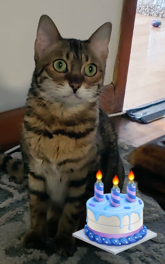 <a href="/ZombieSquadHQ/">ZombieSquadHQ💖💚🧡💚🩵©</a> <a href="/BonzoBaggins/">Keith Lodge p.a to Herbie Herbert 🇬🇧❤️🇺🇦</a> <a href="/ZSBirthday/">ZS Birthday🎂🎁🎉</a> <a href="/MuddlesDog/">Miss Muddles 🐶🎀💕💖 #ZSHQ General</a> <a href="/RhondaHendee/">Gizmo & Rhonda #RIPPandora #ZSHQ</a> <a href="/ThorSelfies/">Maggie & Sabine #RIPPandora #ZSHQ</a> <a href="/TheCatMalice/">Malice & Mayhem🩵#RIPPandora #ZSHQ</a> <a href="/CancerDoggy/">Vinnie & Toby❤️ Jasper🌈 Hartson🌈</a> Happy birthday Herbie! #ZSHQ