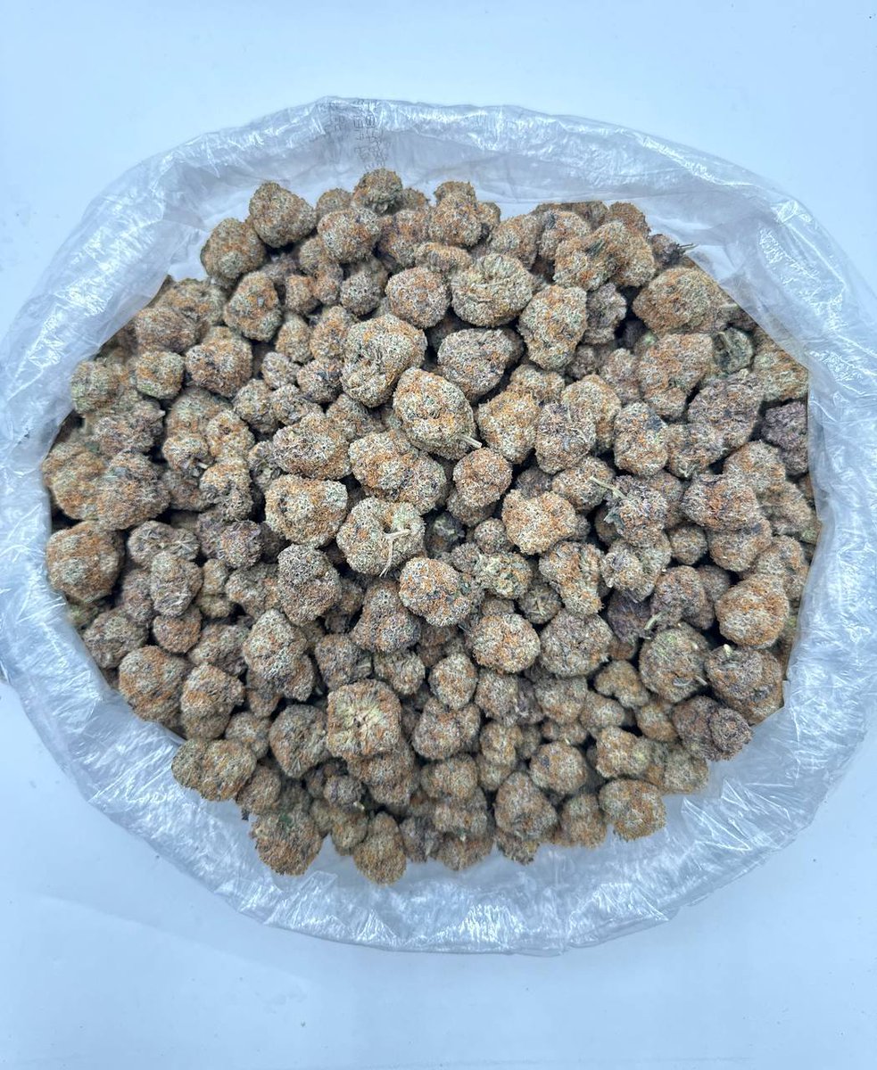 LiftedleafHQ's tweet photo. White RaspBerry🫐🍓🫐 https://t.co/m5RkYfYXeL