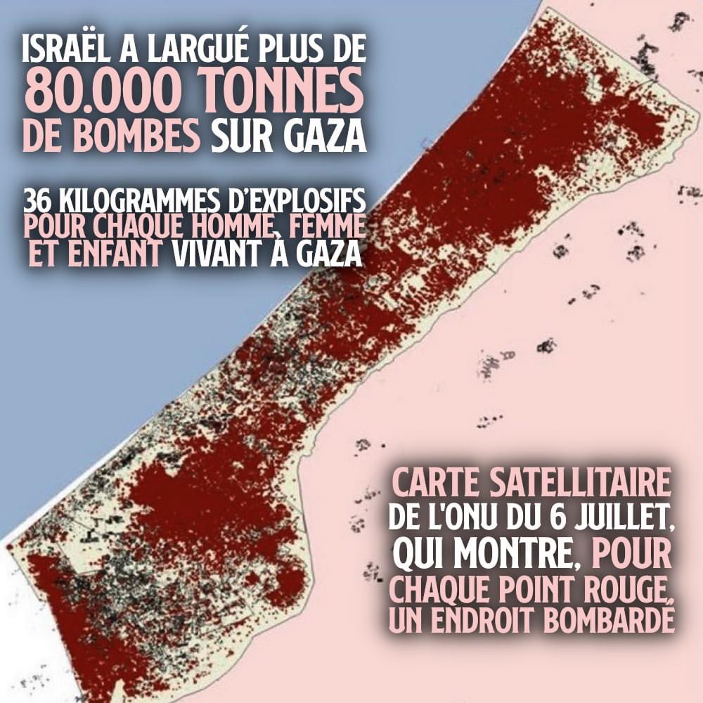 yannlbone's tweet photo. @idrissaberkane Oui, ça commence à se voir! https://t.co/qjawWadK0Q