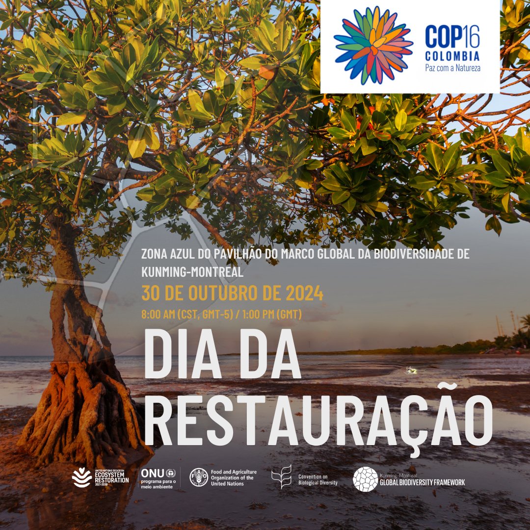 UNEP_pt's tweet photo. Participe do Dia da Restauração na #COP16Colômbia!

Sintonize no Pavilhão Kunming-Montreal em Cali ou na transmissão ao vivo para ouvir líderes políticos, povos indígenas e especialistas em restauração compartilharem percepções da #GeraçãoRestauração: https://t.co/9FnYhTMMDv https://t.co/kvC0iKsKBW