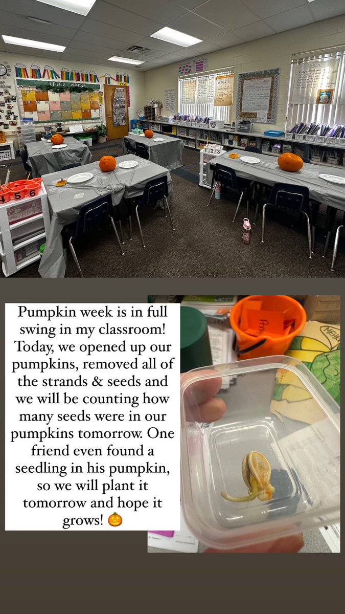 Mrs. Stover tweet media