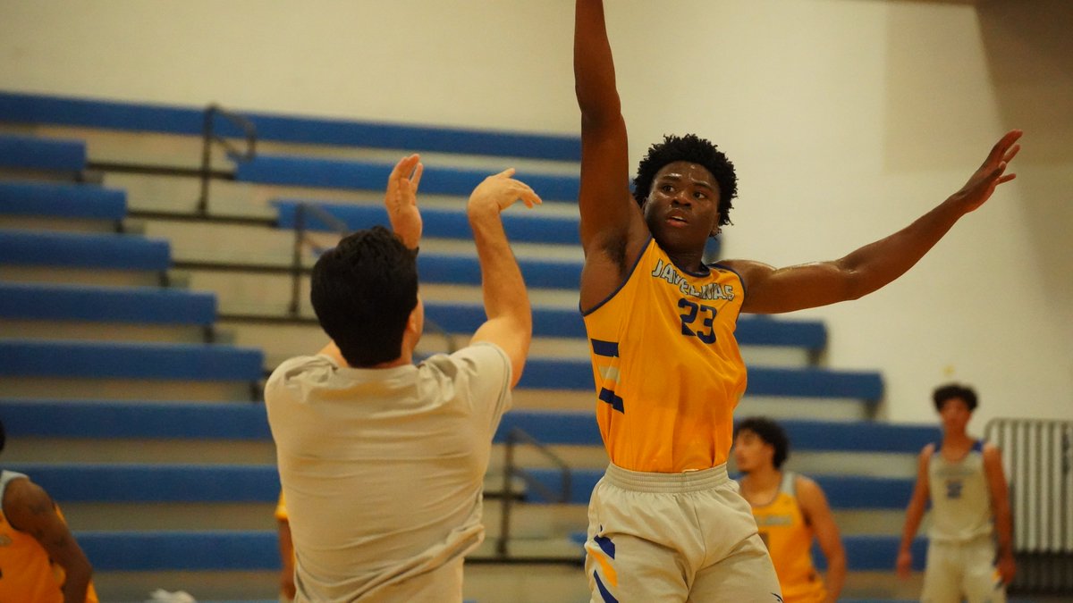 Javelina MBB tweet media