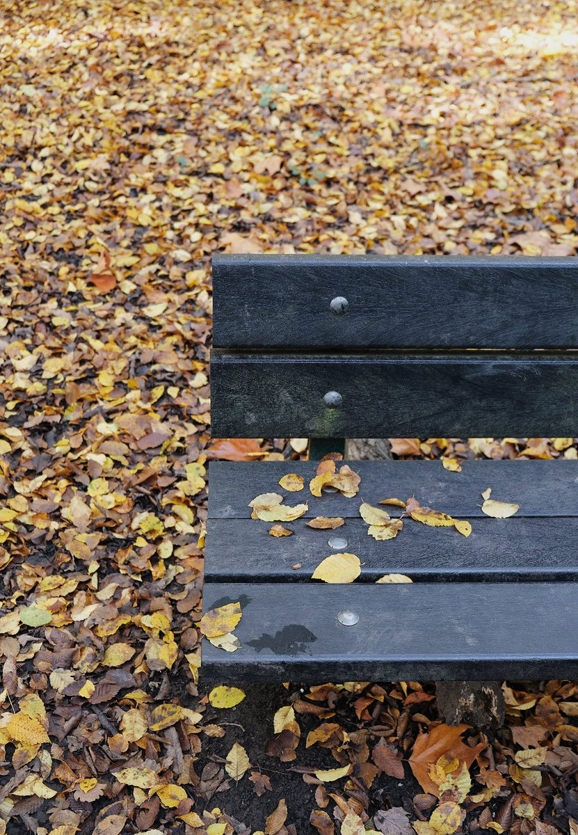 Elena de Astorza tweet media