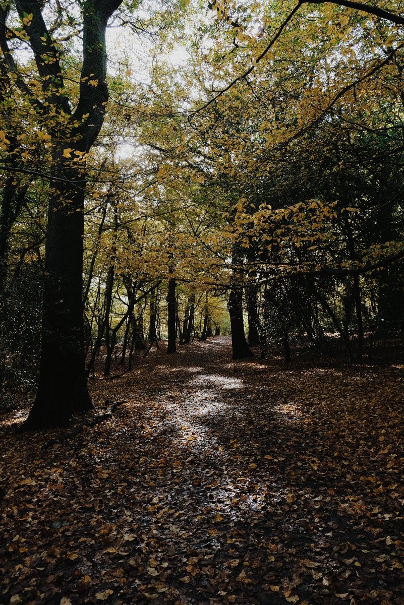 Elena de Astorza tweet media