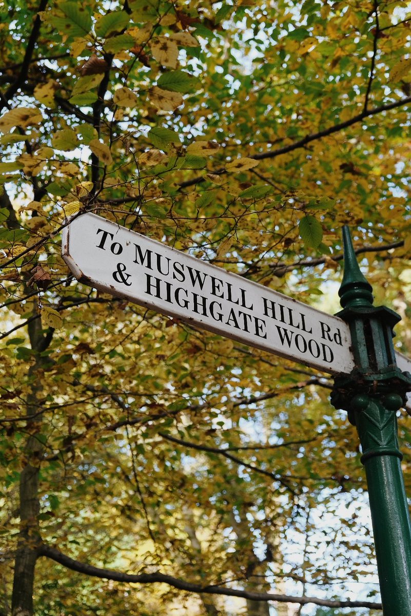 Elena de Astorza tweet media