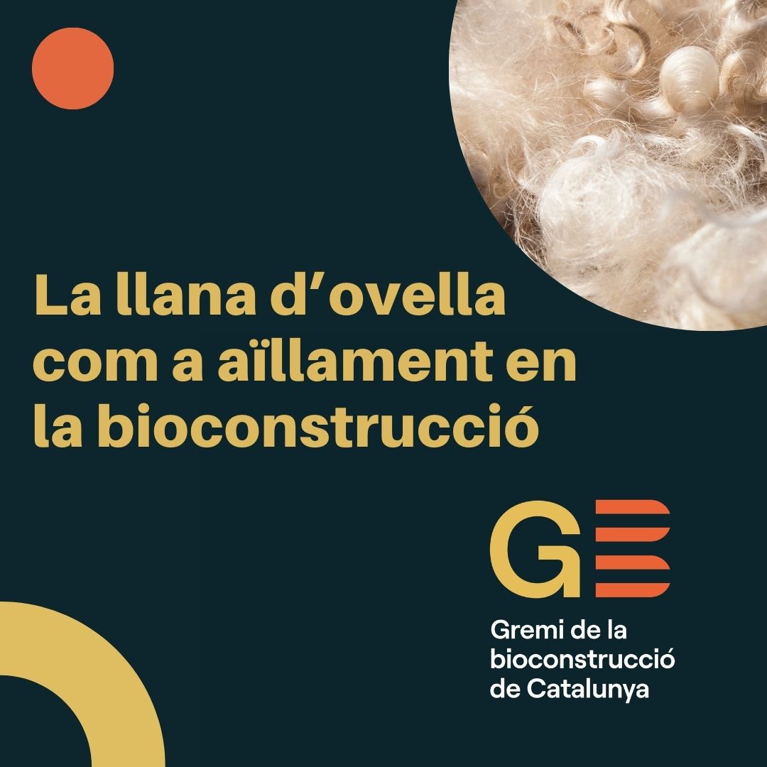 Rosa Prat tweet media