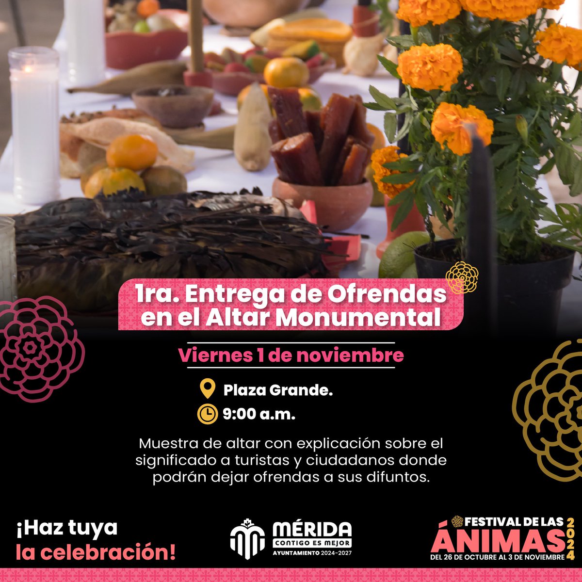 Desarrollo Social y Combate a la Pobreza tweet media