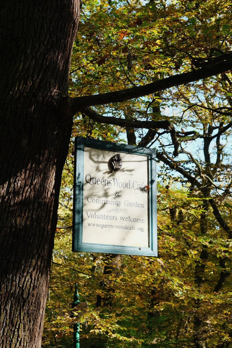 Elena de Astorza tweet media