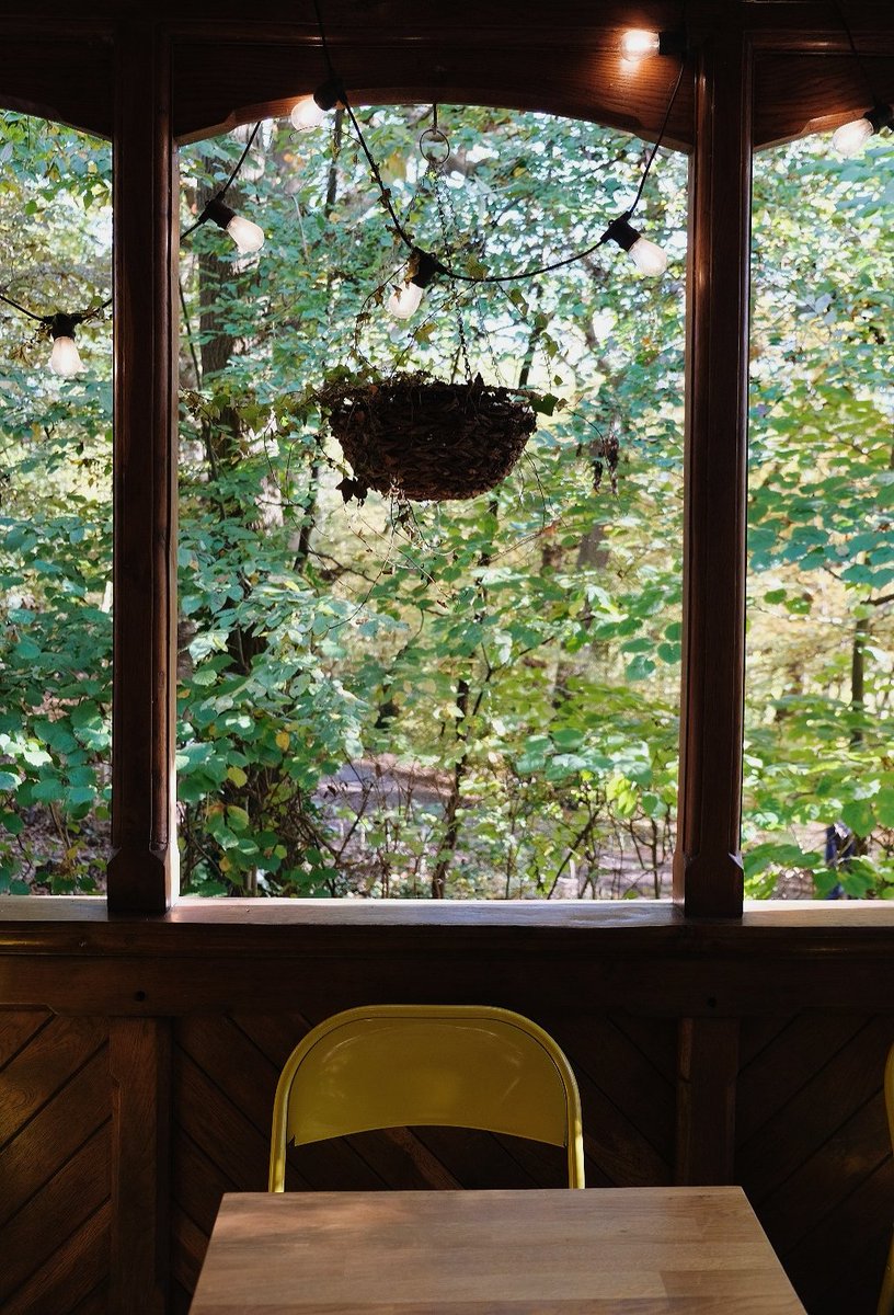 Elena de Astorza tweet media