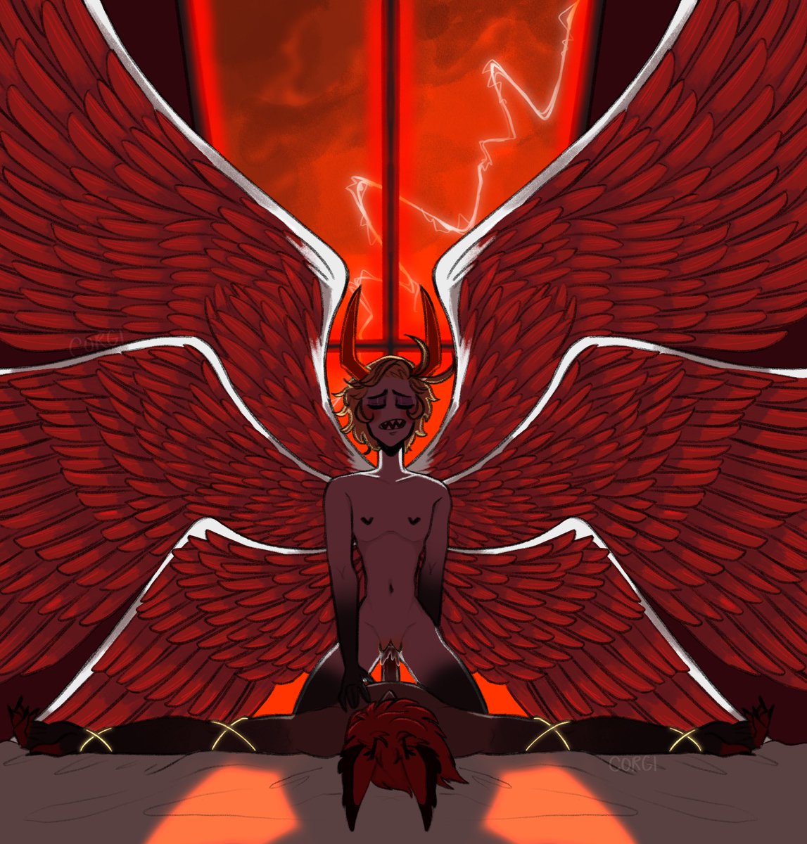 Corgi 🔞 tweet media