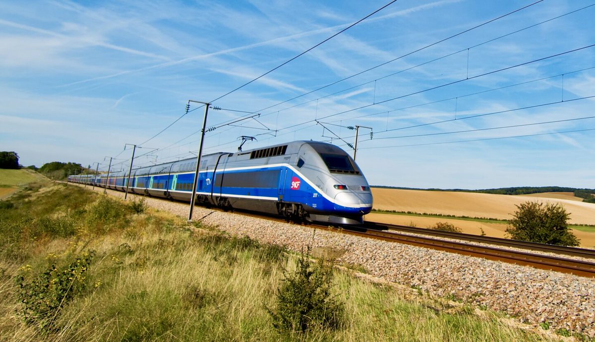 𝚃𝚊𝚛𝚊𝚜 𝙶𝚛𝚎𝚜𝚌𝚘𝚎 🚇 tweet media