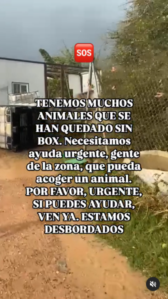 Nos han contactado unos amigos de una protectora de Valencia que ha quedado totalmente destruida y los perros sin recursos, gente de Valencia se necesita para acoger unos días, también se puede donar para la reconstrucción. Sin ayuda no podrán.

DONACIONES:
Bizum: Entra en la